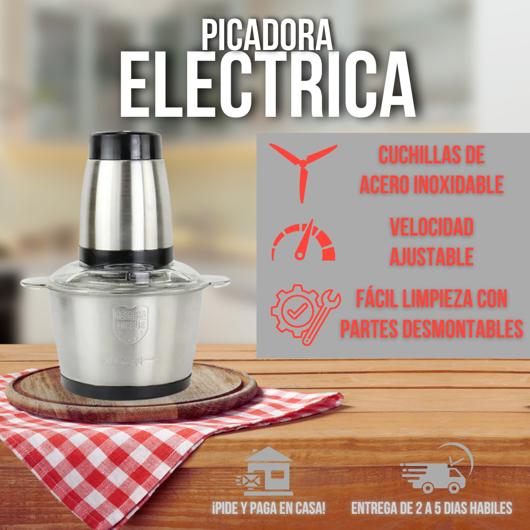 PICADORA ELECTRICA DOS VELOCIDADES